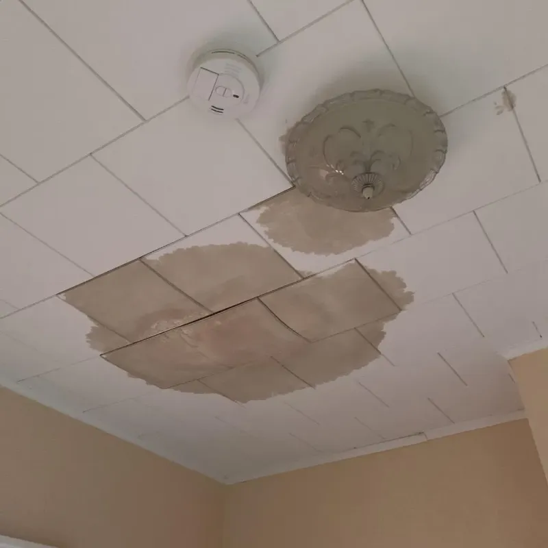 Ceiling Water Damage Repair in Bay Village, OH