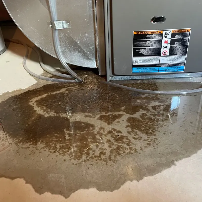 Pipe Burst and Leak Restoration in Bay Village, OH